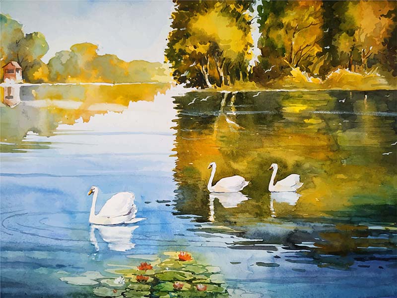 Tranh canvas phong cách màu nước (watercolor) - Gia đình thiên nga - WT018