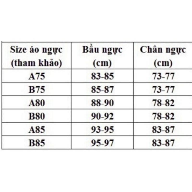 Áo Ngực Việt Nam Có gọng. Áo Lót Ren Boya Mút Dày Nâng Ngực Mã M024W