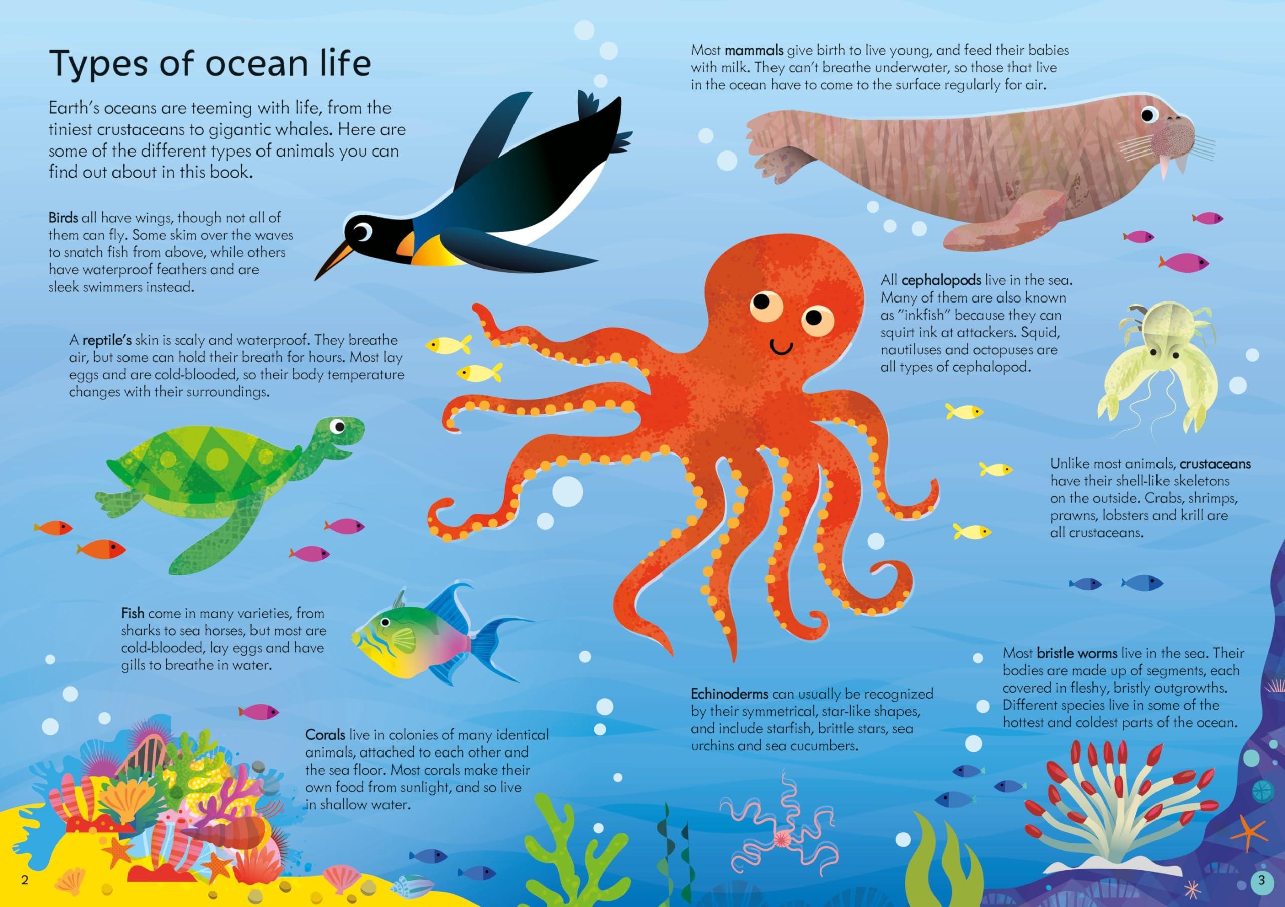 Sách ngoại văn: Usborne Book And Jigsaw Oceans
