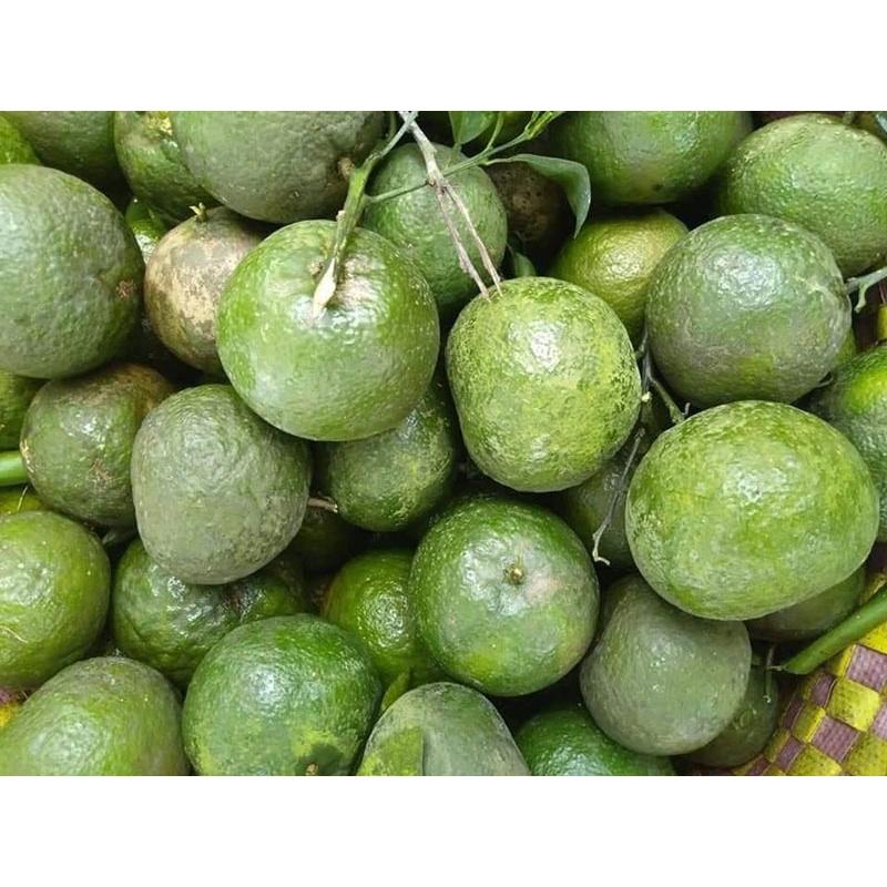 Cam Sành Cho Nhiều Nước