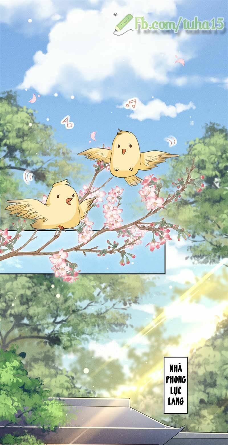 hoàng tử phu quân, ta nuôi ngươi a! chapter 19 4