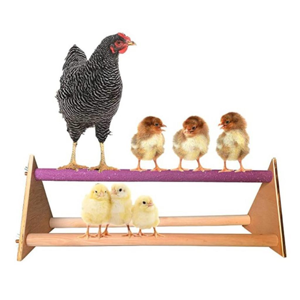 Wood Stand Chicken Toy Bird Perch Stand Toy Chew Toy for Parrot Hens Macaw