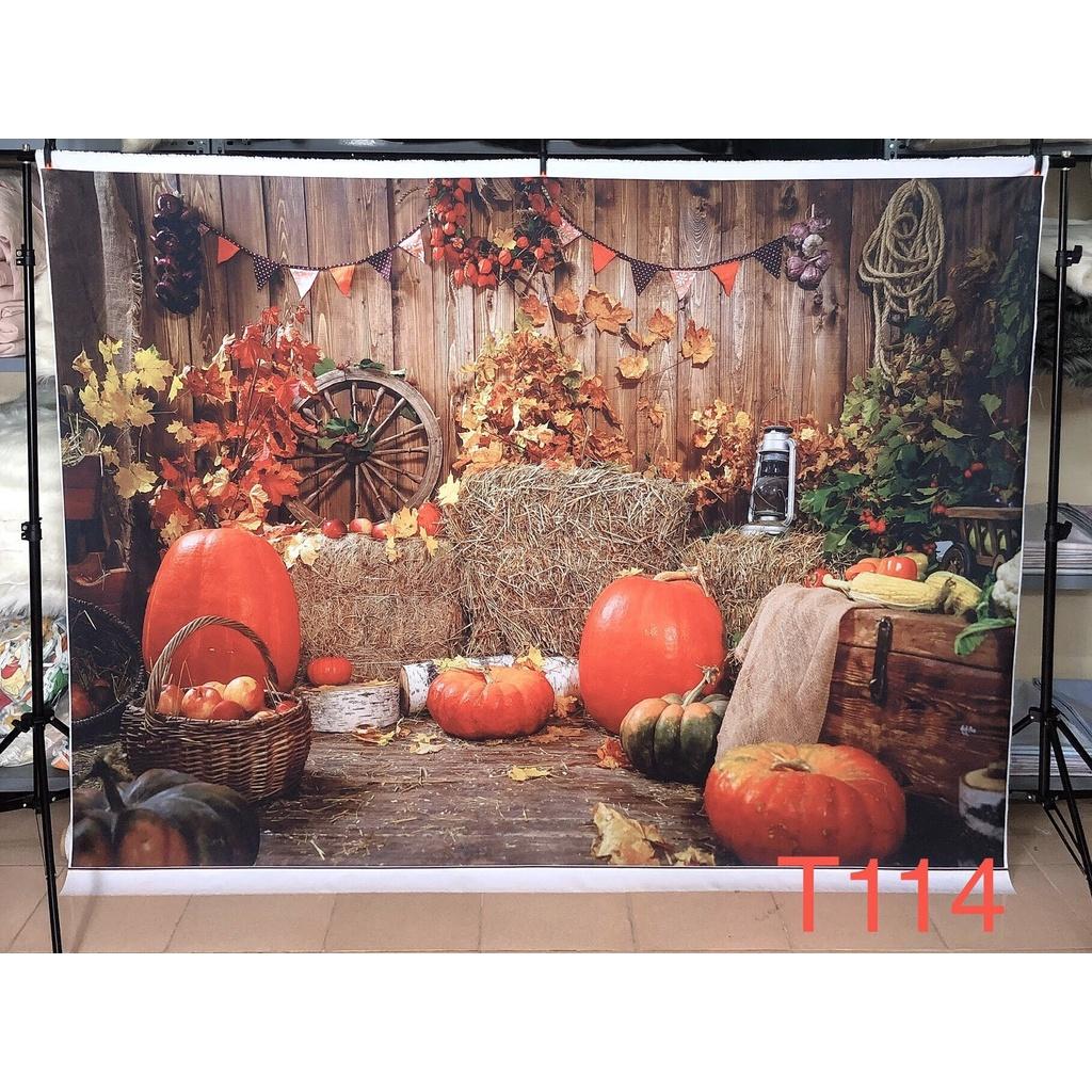 Thảm vải chụp ảnh / Thảm vải treo tường / Tranh vải decor chủ đề Halloween