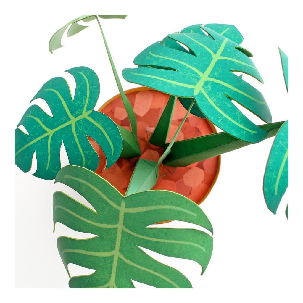 Mô hình giấy Cây cảnh Monstera