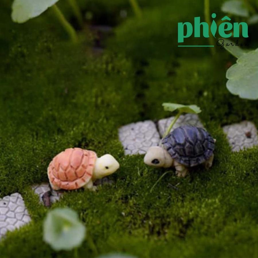 Rùa con trang trí tiểu cảnh, sen đá, terrarium, Phụ kiện Tiểu cảnh mini