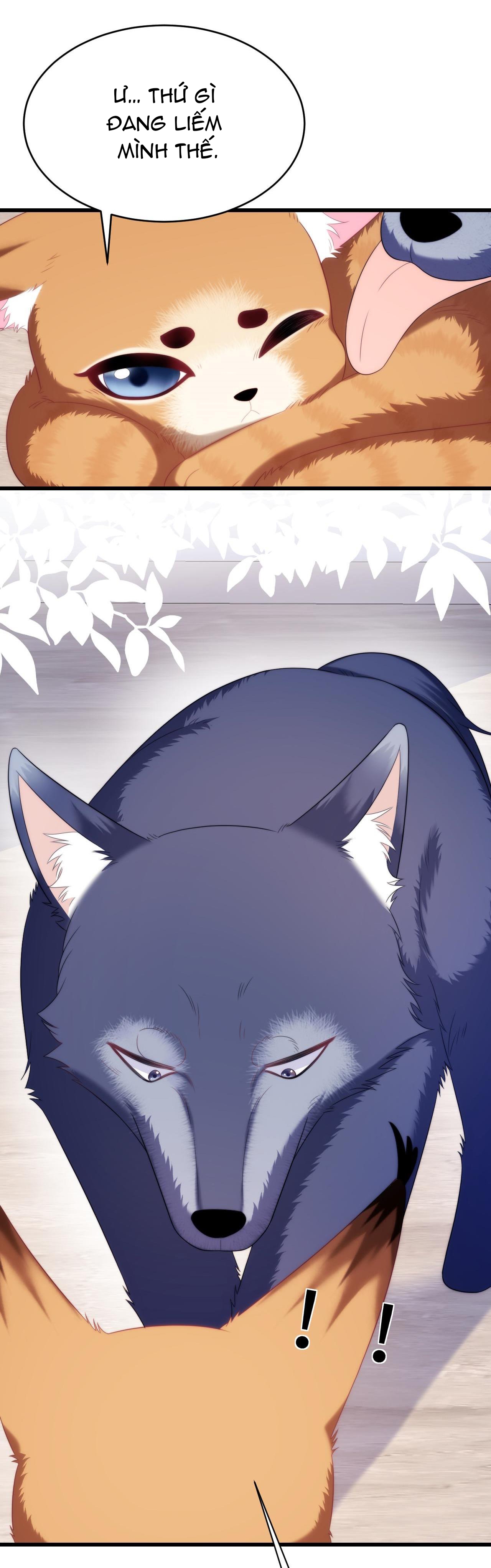 mèo hoang nhỏ của học bá quá chọc người rồi chapter 35 2