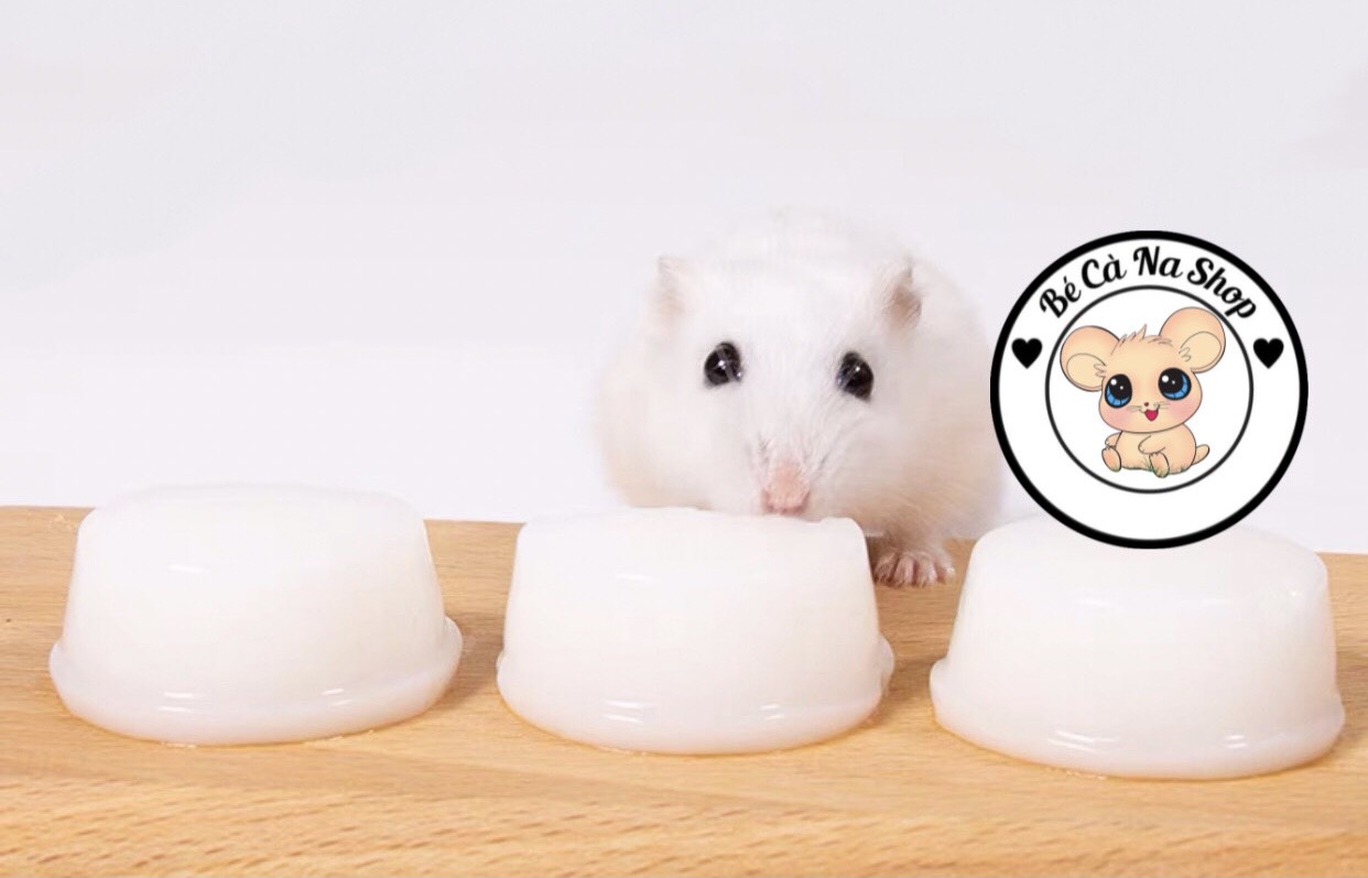 Pudding, bánh sữa tươi vỗ béo cao cấp viên to 25gram cho hamster thỏ bọ sóc chinchilla ...