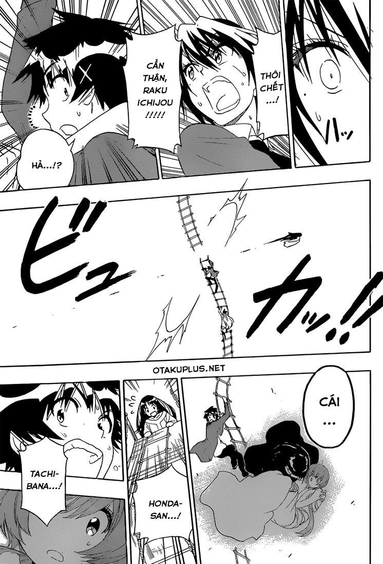 nisekoi - tình yêu giả tạo chapter 192 10