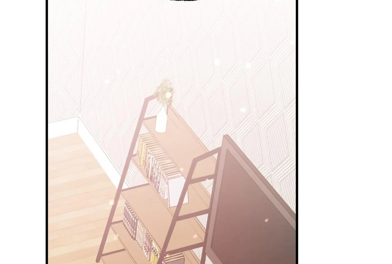 những chú thỏ của hapypy chapter 65 35