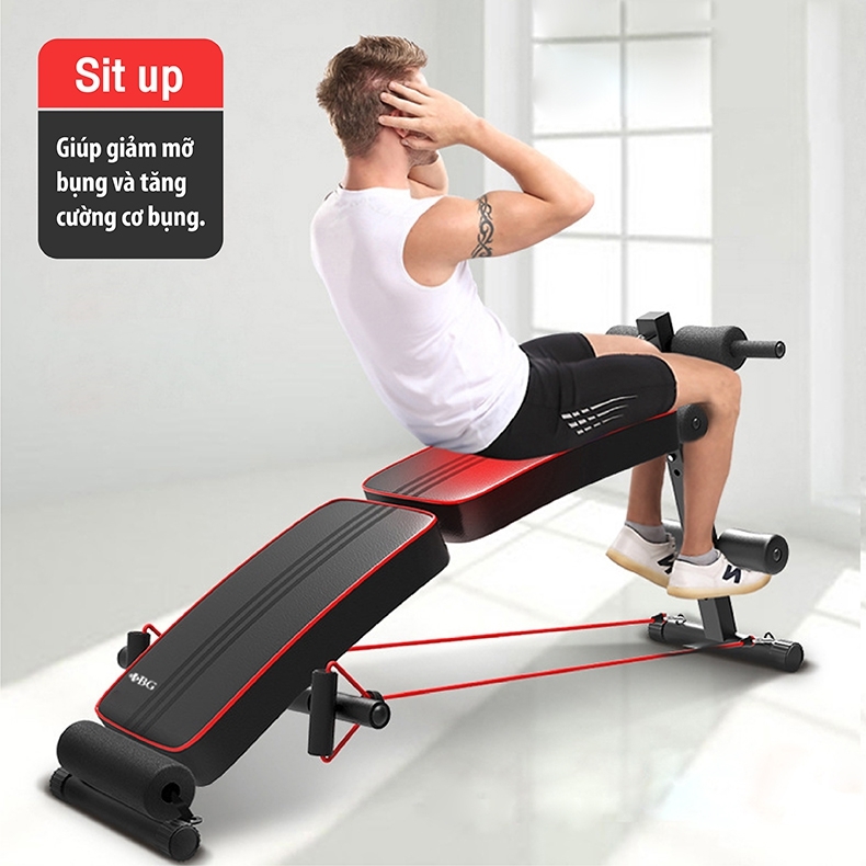 Ghế Tập Bụng Cong Muse - Ghế Tập Cơ Bụng, Máy Tập Bụng, Ghế Tập Lực , Máy Gập Cơ Bụng Hàng Nhập Khẩu - Sit Up - 119