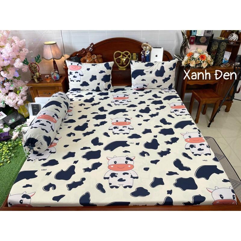 Drap thun hàn quốc