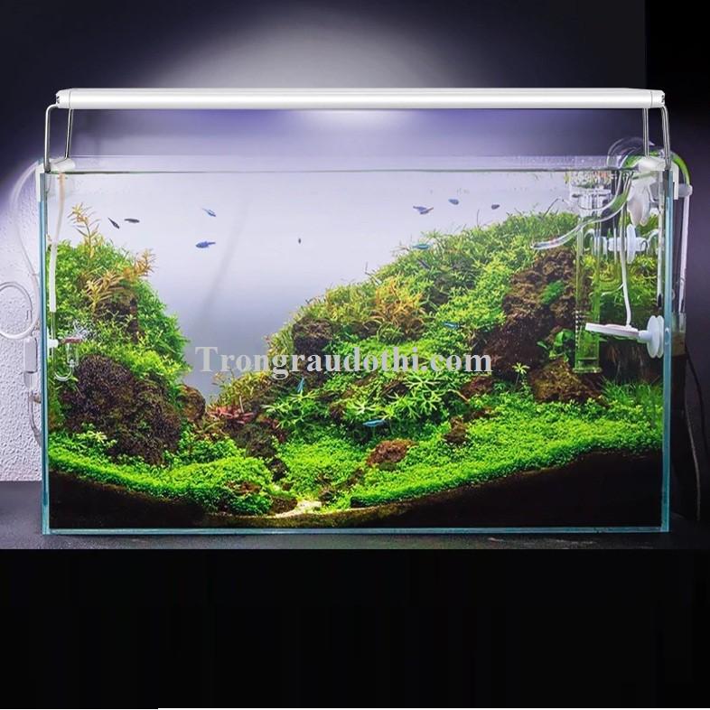 Đèn led máng K400 phù hợp cho bể 40-50cm, đèn rất sáng và thẩm mỹ đẹp