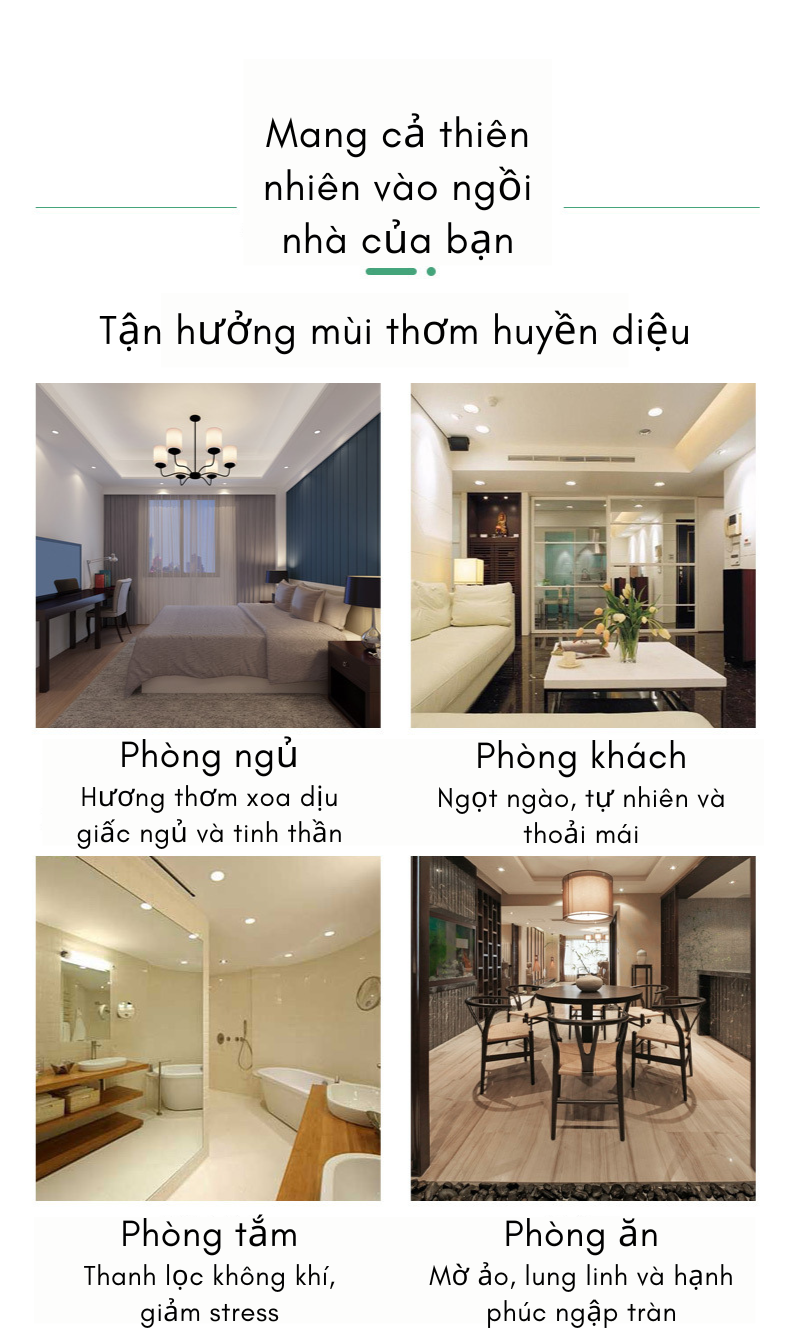 Nến thơm hoa khô thiên nhiên, sáp nến thơm phòng cao cấp giao màu, hình, họa tiết hộp ngẫu nhiên - Nhập khẩu