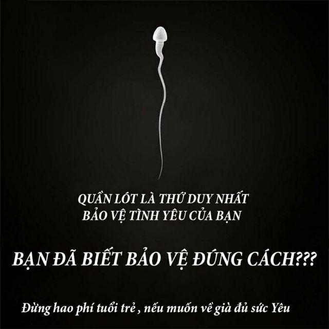 Bộ 2 quần lót ĐÚC NAM - Mặc Như Không Mặc