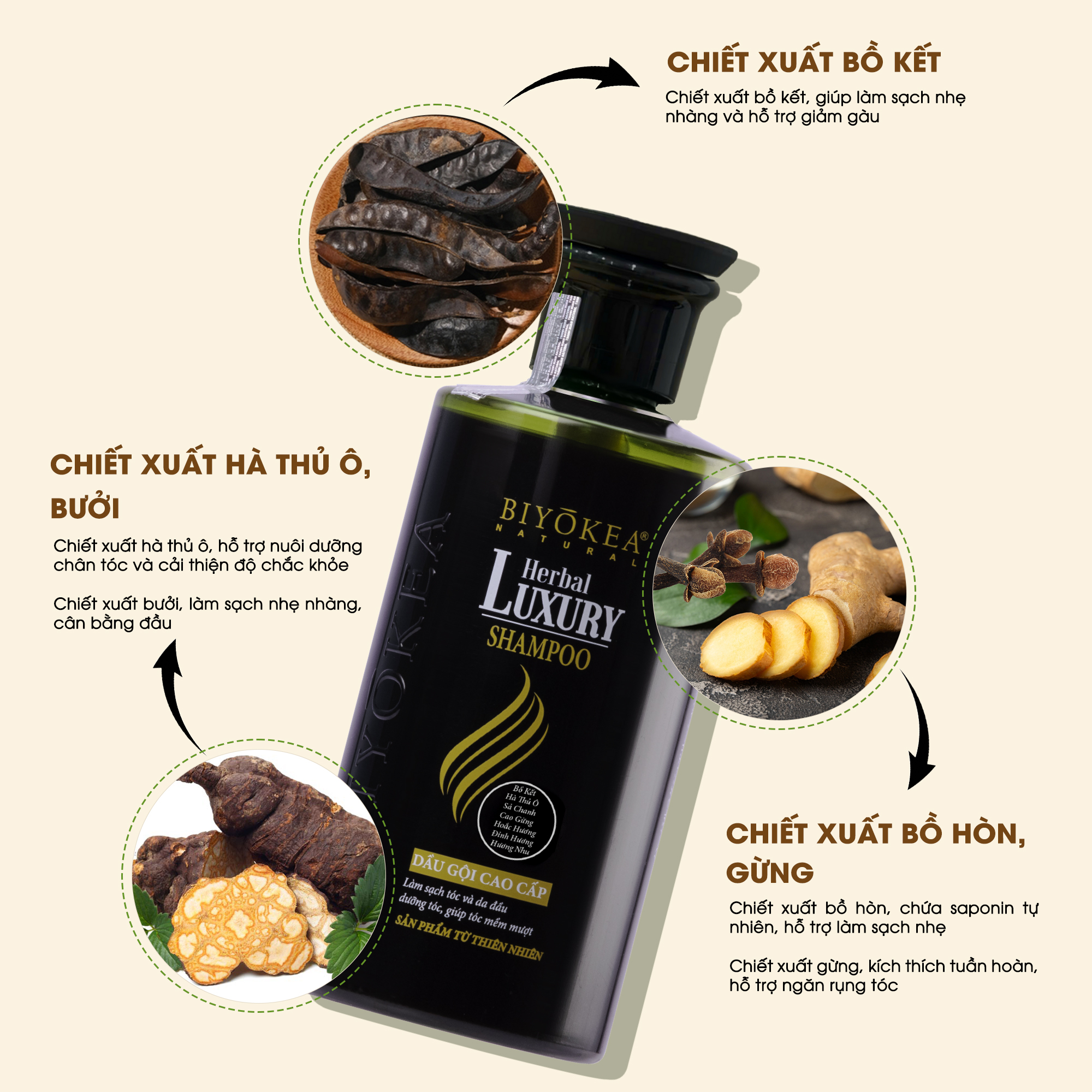 Combo Dầu gội và dầu xả bồ kết thảo dược, dưỡng tóc, kích thích mọc tóc Herbal Luxury Biyokea 320ml