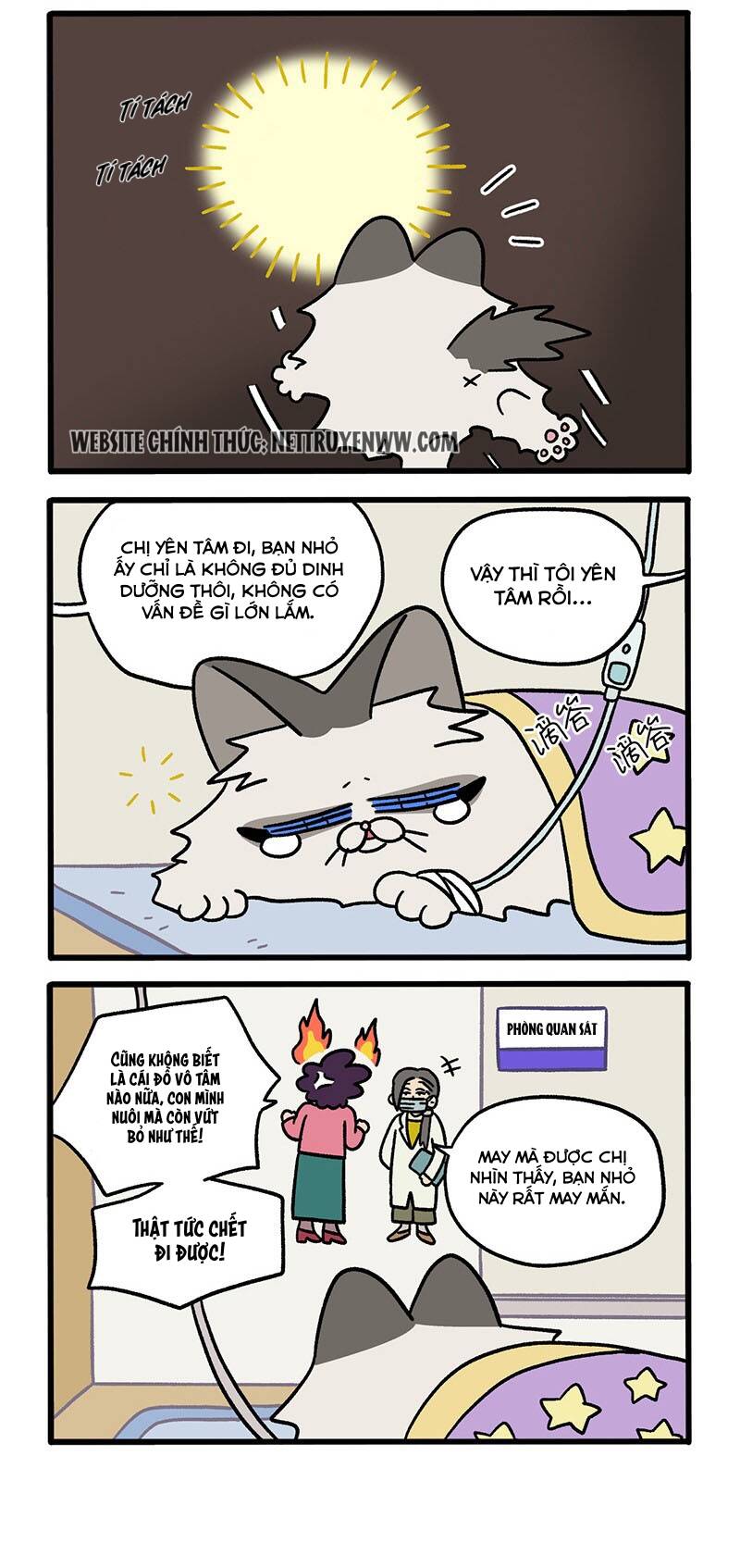 a mãn và mạch trà chapter 48.1 2