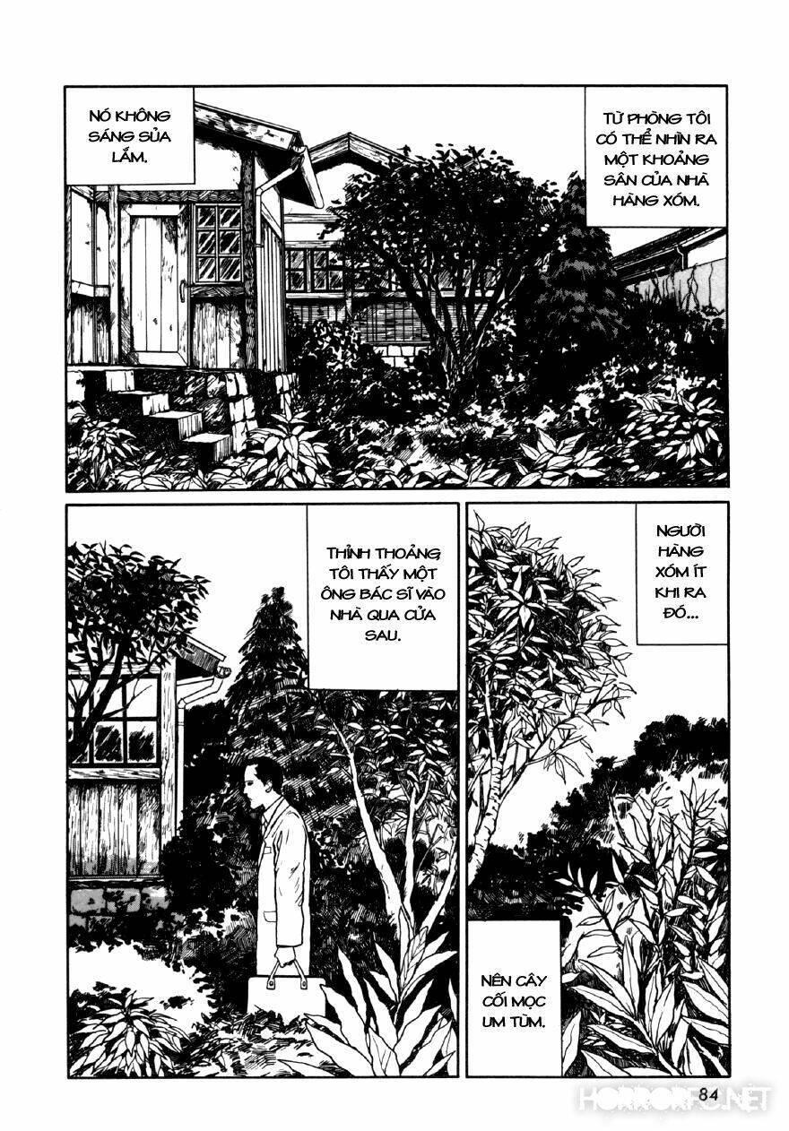 tuyển tập truyện ngắn kinh dị của ito junji chapter 7.4 3