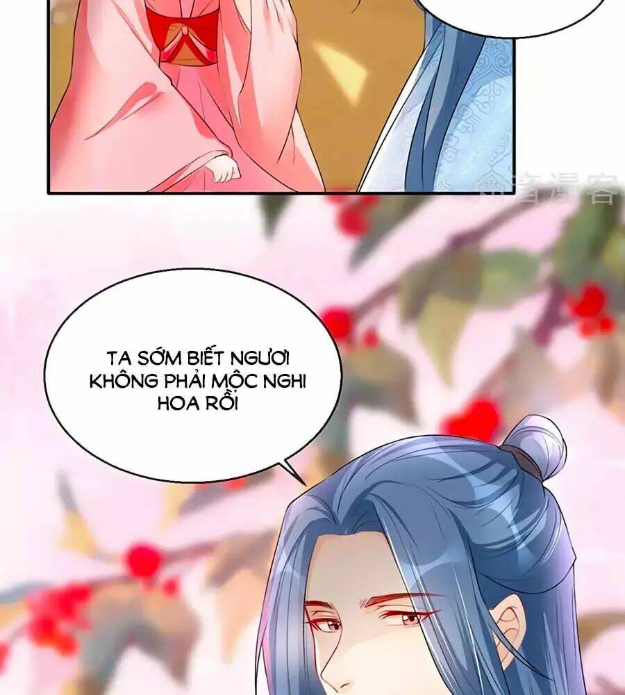 gian phi như thử đa kiều chapter 38 73