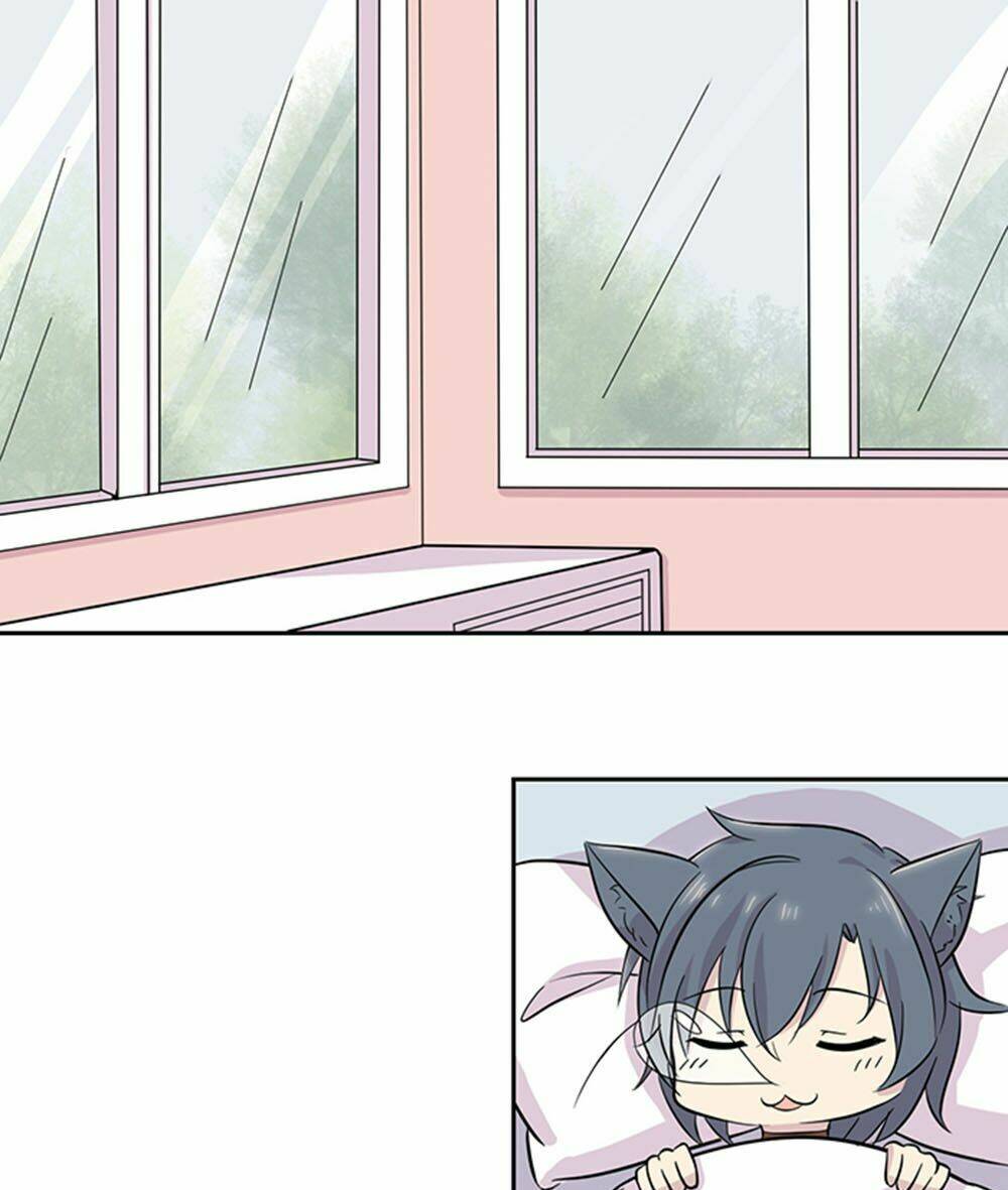 hai chú mèo totem chapter 22 3