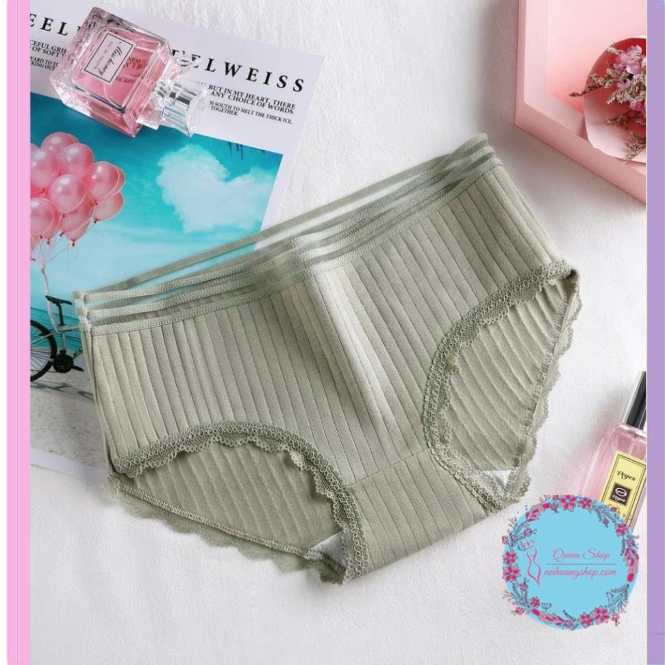 Quần Lót Cotton Tăm Cạp Viền Cao Cấp Quần lót nữ cotton co dãn mềm mịn DL108