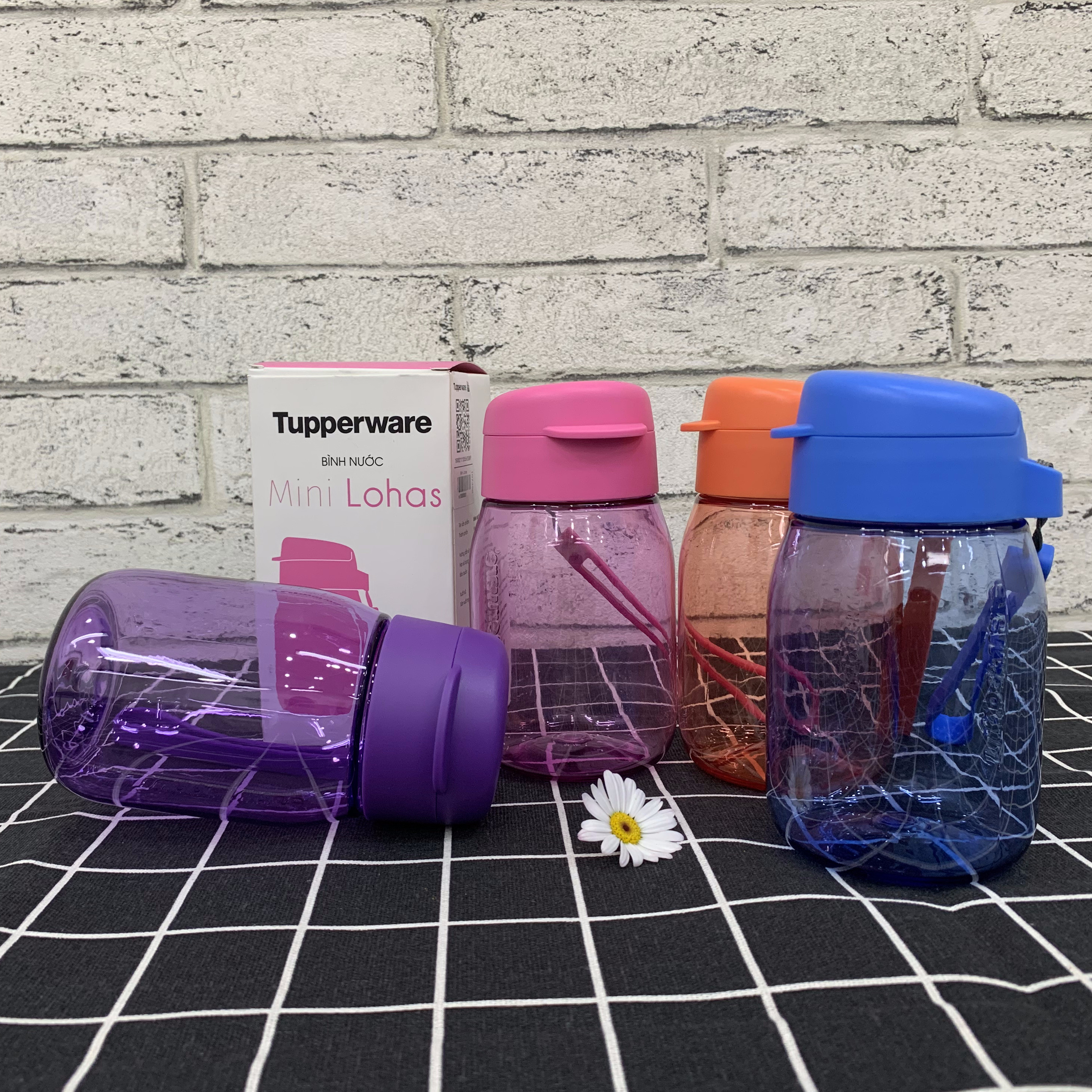 Bình nước Tupperware Mini Lohas 350ml