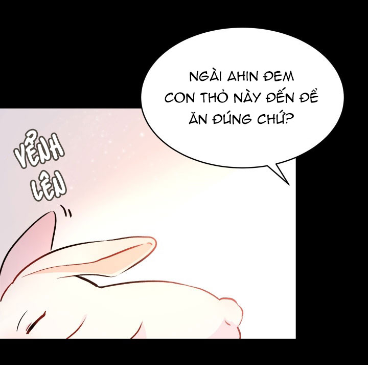 mối liên kết giữa báo đen và bé thỏ chapter 2 39