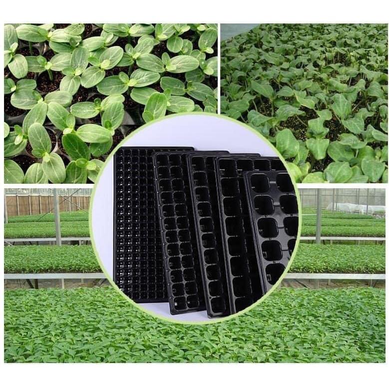 Bộ 5 Khay nhựa ươm cây 50 lỗ, Vỉ ươm hạt giống, Khay nhựa PVC ươm hạt rau hoa