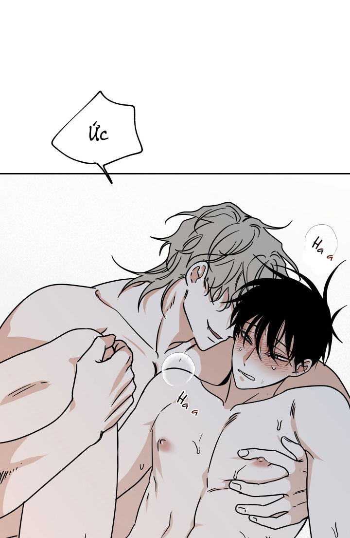 đêm bên bờ biển chapter 26.5 10