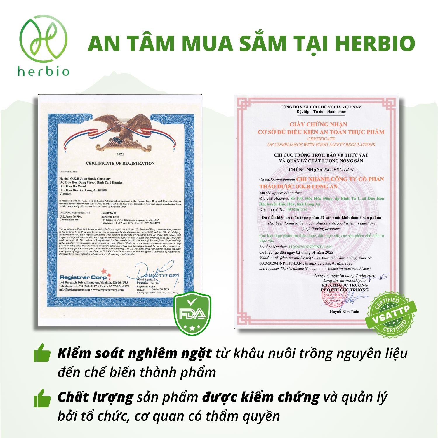 Trà Thảo Mộc Giảm Cân Bồ Công Anh Herbio - Giúp giảm mụn, giải độc gan, detox thanh lọc cơ thể, giảm cân tự nhiên (12 túi lọc x 3gram)