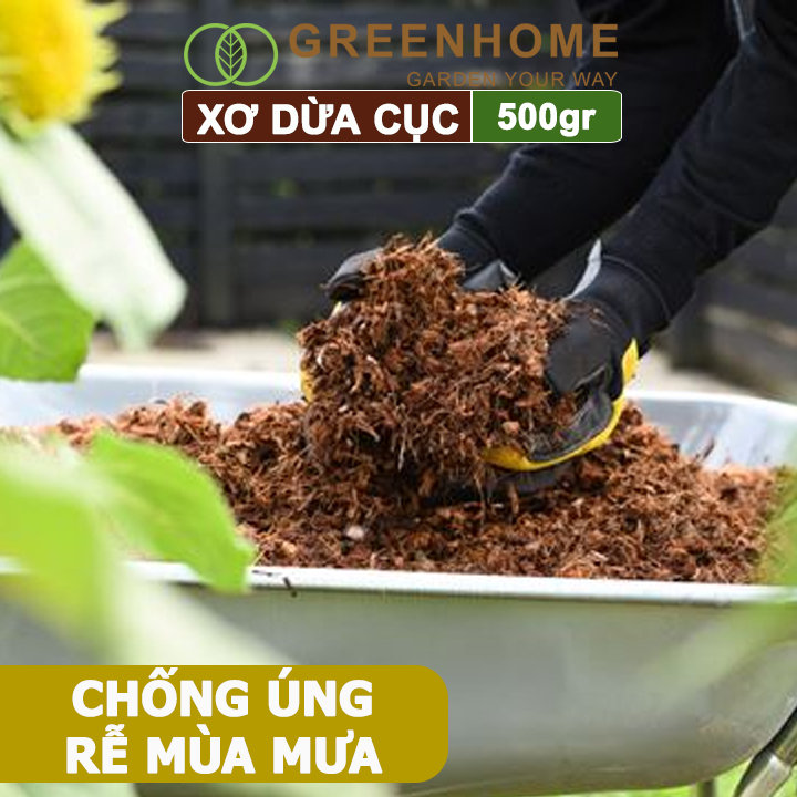 Xơ Dừa Cục Greenhome, Viên 500gr, Sơ Dừa Nén, Nở Gấp 5 Lần, Kích Thích Rễ, Thoát Nước Tốt Giá Thể Kiểng Lá, Phong Lan