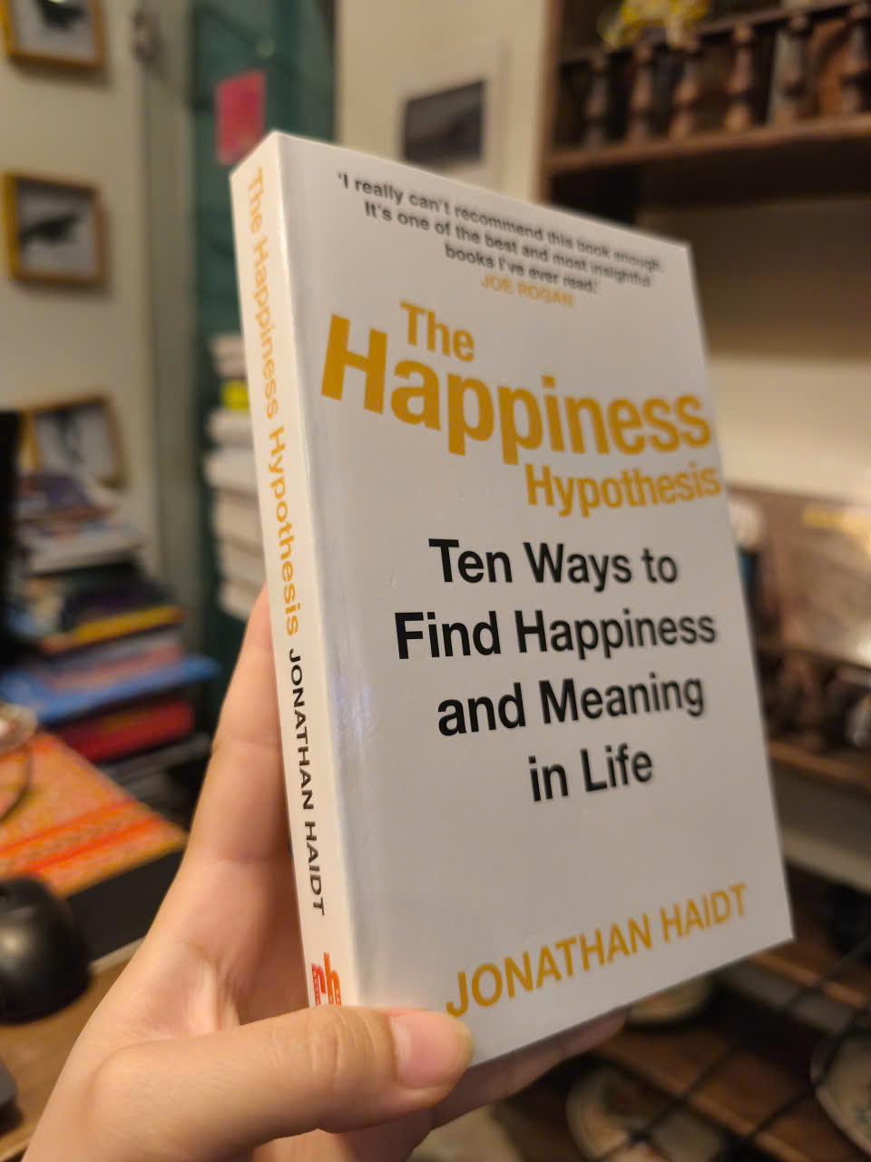 Sách - The Happiness Hypothesis: Ten Ways to Find Happiness &amp; Meaning in Life by Jonathan Haidt / Nonfiction / Self help Book