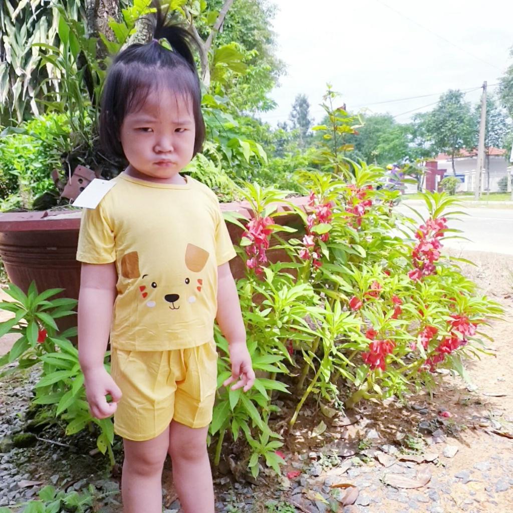 Bộ Đồ Cún Xinh Cho Bé Vải Thun Lạnh