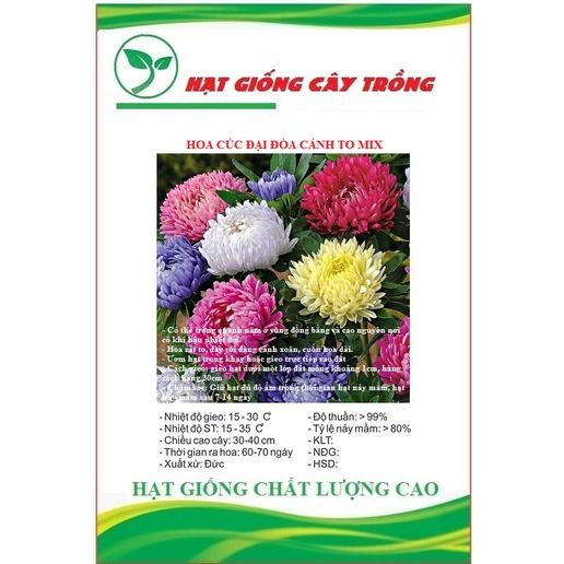 Hạt Giống Hoa Cúc Đại Đóa Cánh To Nhiều Màu CT477 - Gói 50 hạt