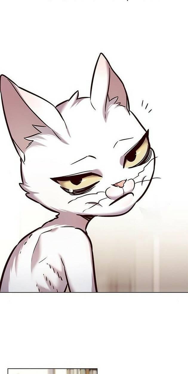 biến thân thành mèo chapter 228 8