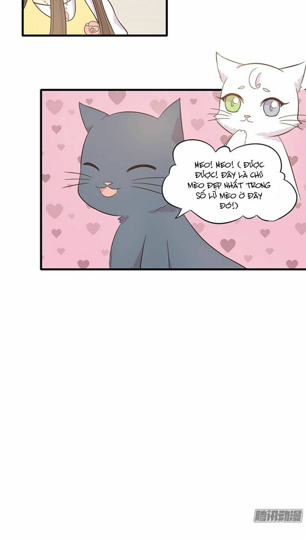 hai chú mèo totem chapter 13 11