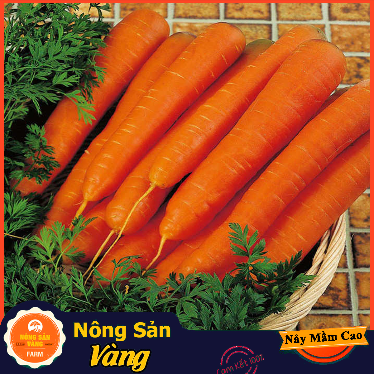 Hạt giống Cà Rốt Thường F1 - Nông Sản Vàng