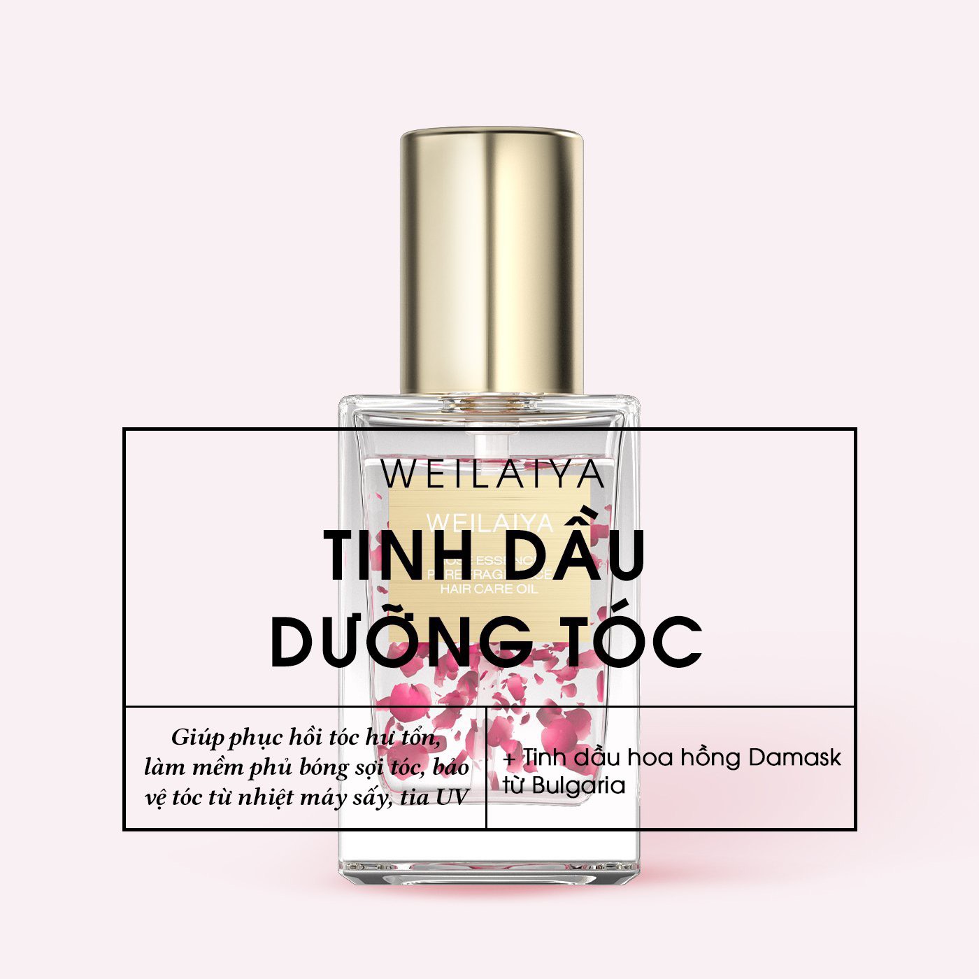 Tinh dầu dưỡng tóc WEILAIYA chiết xuất cánh hoa hồng phục hồi tóc hư tổn, giảm sơ rối, chẻ ngọn, không gây bết dính