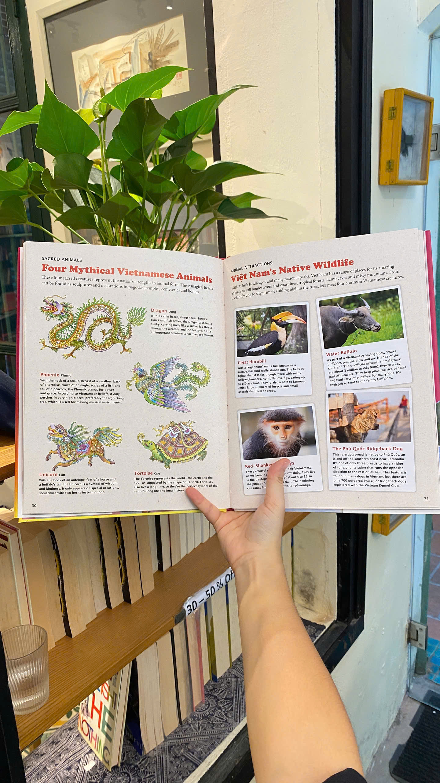 Sách - All About Vietnam: Projects & Activities for Kids | Children Picture Book /Ngoại văn Bìa cứng