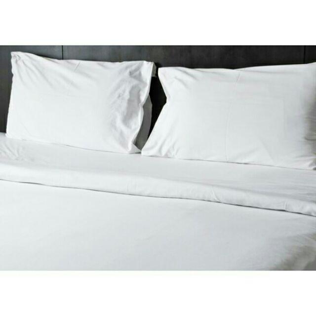 Áo Gối cotton khách sạn trắng trơn 40x60, 50x70,35x105cm