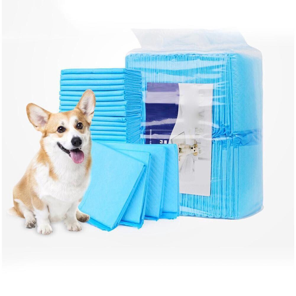 Tấm lót vệ sinh Pad Pet Training cho chó mèo size M 50 miếng 45x60cm, size L 40 miếng 60x60cm