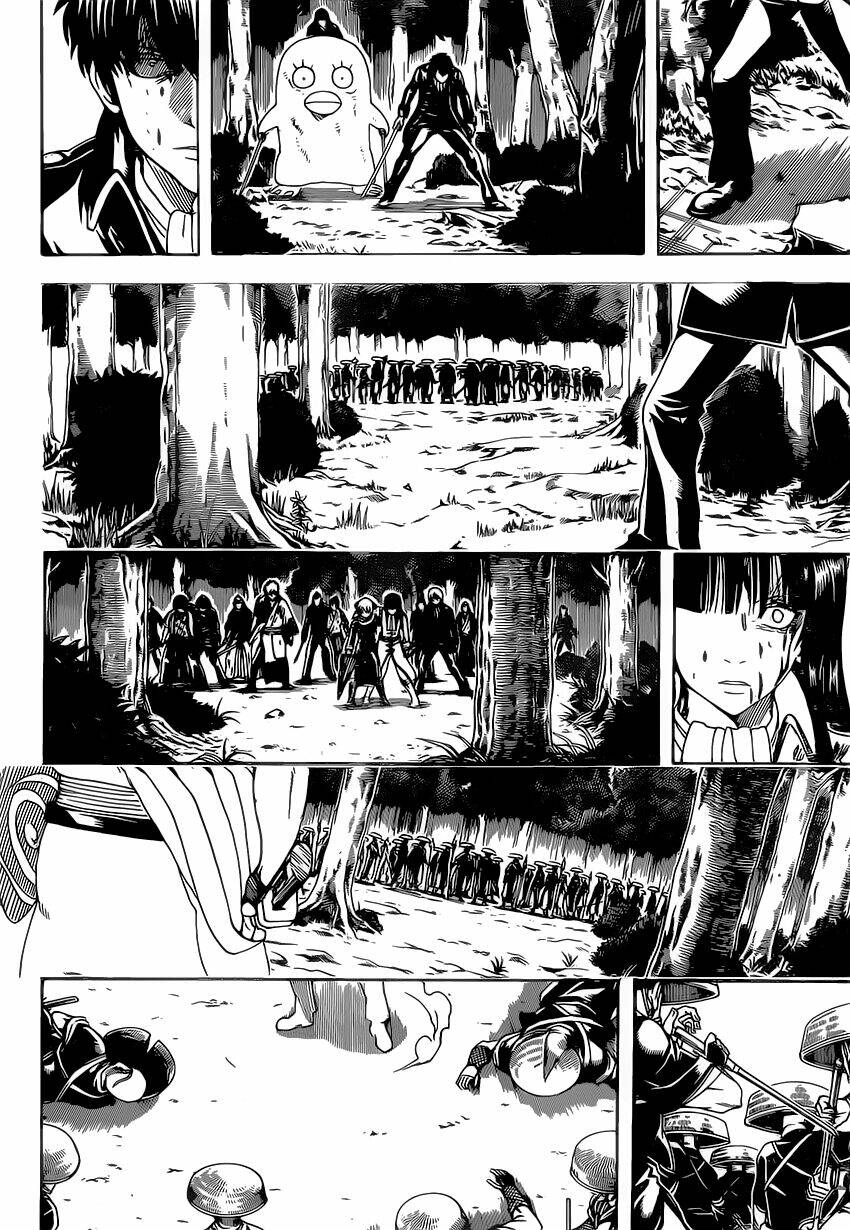 gintama - linh hồn bạc chapter 546 14