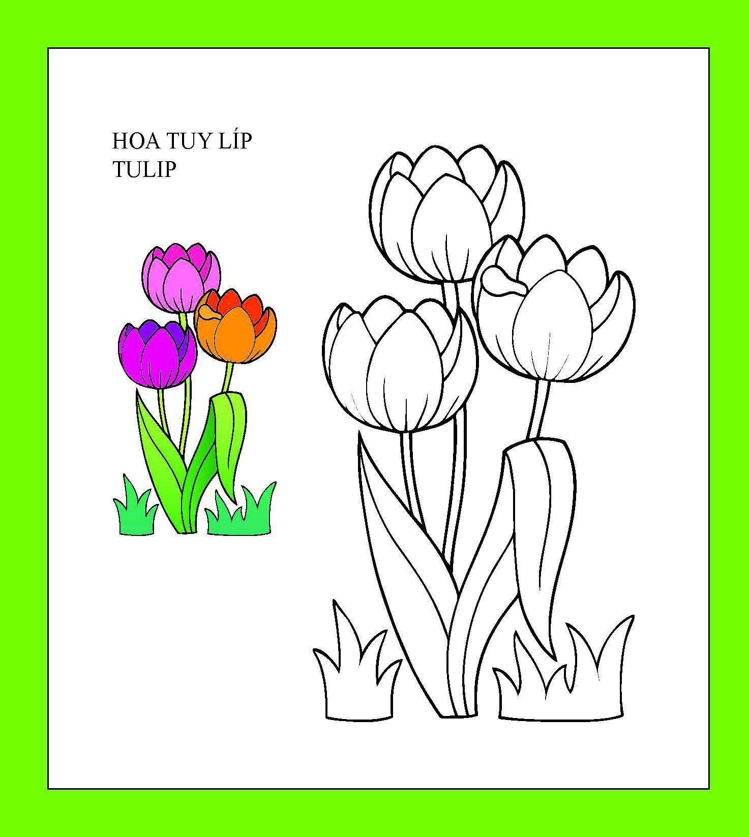 Họa Sĩ Nhí Tô Màu - Hoa