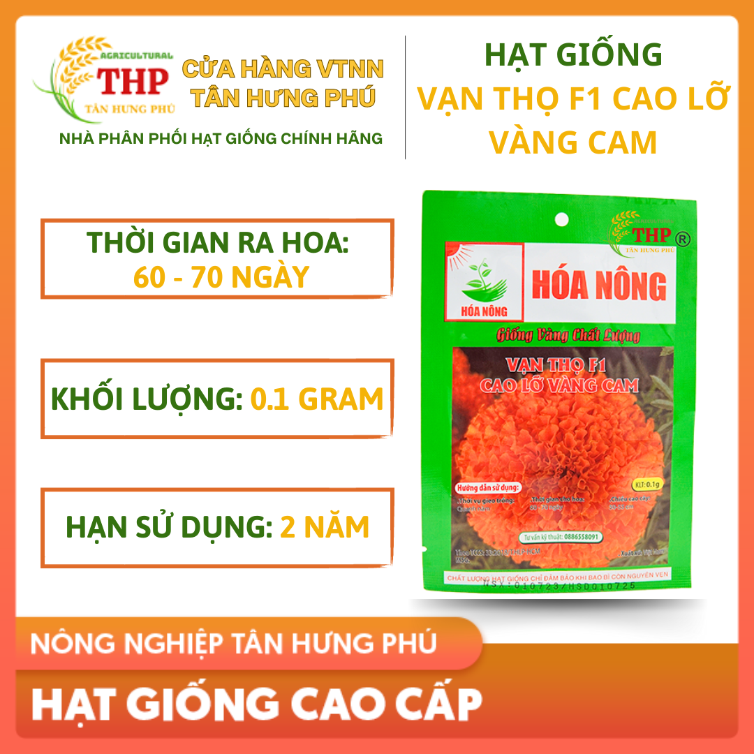 Hạt giống Vạn Thọ F1 Cao Lỡ Vàng Cam | Hạt giống | gói 0.1gr