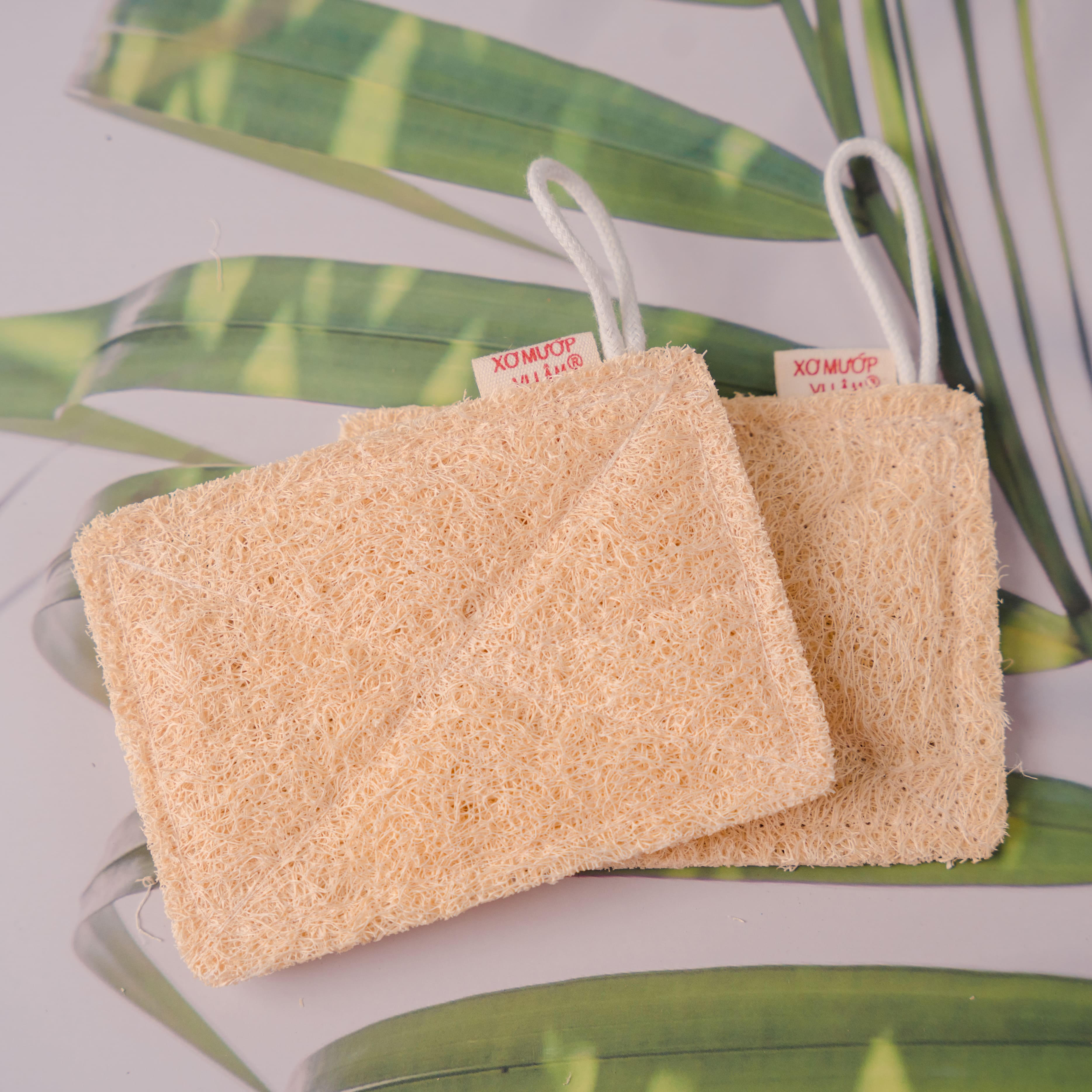Miếng Rửa Chén Xơ Mướp Vi Lâm Chuyên Gia Rửa Sạch Bát Đĩa Xoong Nồi - Không Hại Da Tay - Thân Thiện Môi Trường
