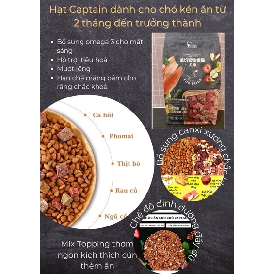 Hạt CAPTAIN Cao Cấp Cho Chó Kén Ăn TOPPING Bò, Phô Mai, Cá Hồi, Rau Củ