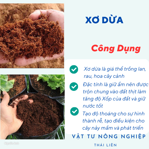 2 Kg Mụn Xơ Dừa Trồng Rau, Hoa Kiểng giá thể trồng cây - Ươm hạt giống, rau mầm (Đã Qua Xử Lý)
