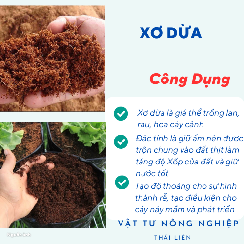 2 Kg Mụn Xơ Dừa Trồng Rau, Hoa Kiểng giá thể trồng cây - Ươm hạt giống, rau mầm