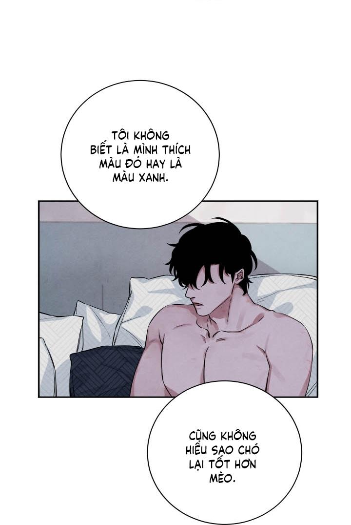 âm thanh của san hô chapter 19 39