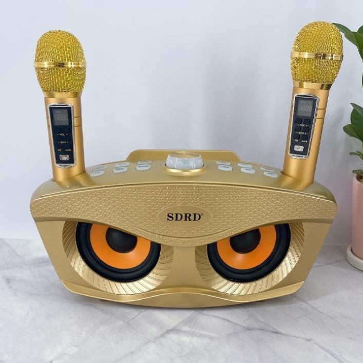 Loa Bluetooth Karaoke SDRD SD306 Plus bản 2020 đa năng, Loa kèm 2 micro hát karaoke Không dây- Phiên Bản Nâng Cấp lọc