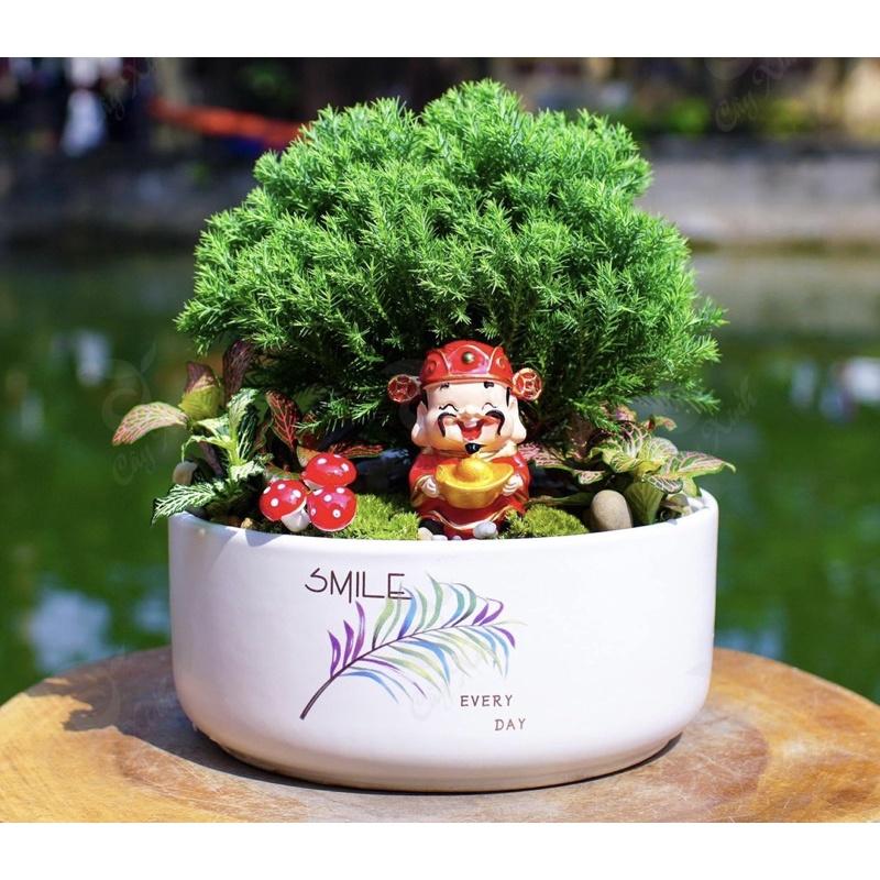 Ang Trụ Trồng Cây Cảnh Mini Cực Xinh